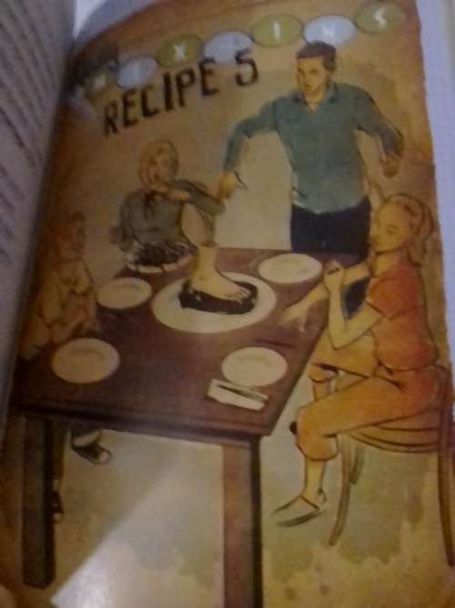 Mischief maker's manual, awesome pranks, 261 Pages.