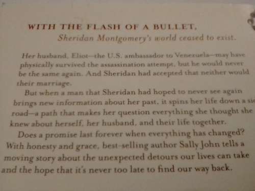 Ransomed Dreams, Novel by Sally John.