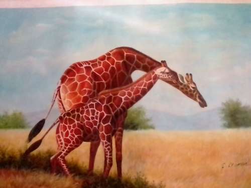 STUNNING GIRAFFE OIL PAINTING ON CANVAS BY SA ARTIST C.KRAMER - NOT FRAMED - PLEASE READ BELOW.