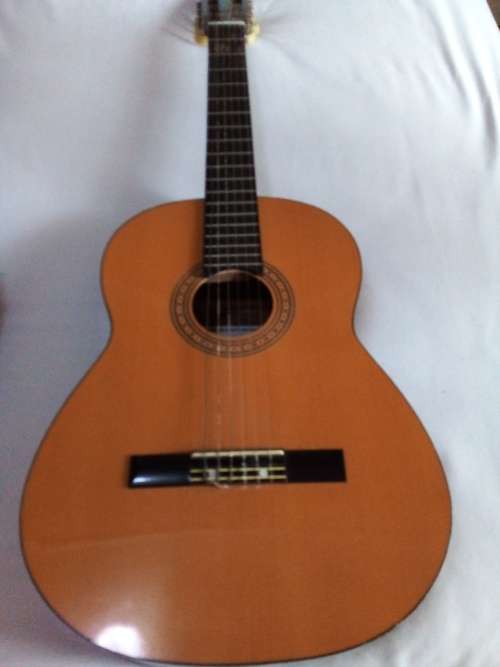 DIA II ACOUSTIC GUITAR WITH BAG IN GOOD CONDITION - INCLUDING NEW STRINGS- PLEASE READ BELOW.
