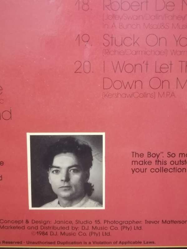 S.A. TOP 20 (1984) - VINYL IN VERY GOOD COND. - SEE BELOW FOR INFO.