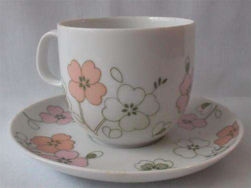 Arzberg Small Cup and Saucer