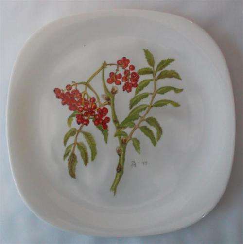 1979  Vintage Hand Painted Wall Plate
