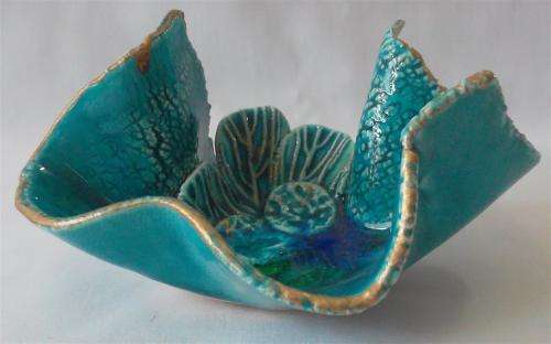 Denise Cairns Reef Pot Bowl