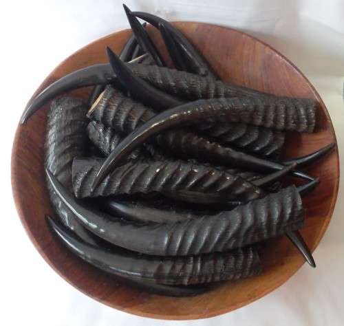 Wooden Bowl with 20 Buck Horns