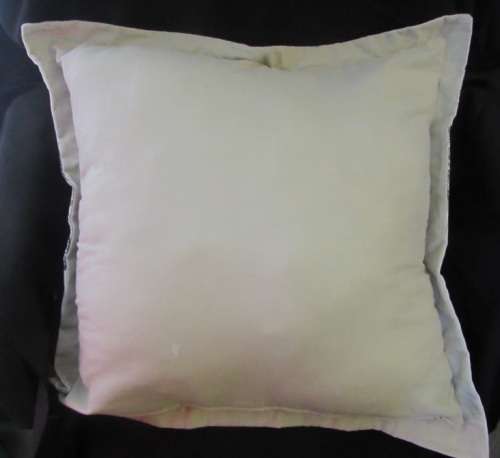 Skull scatter cushions