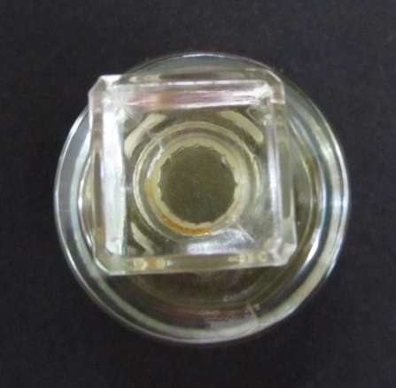 Perfume bottle with perfume