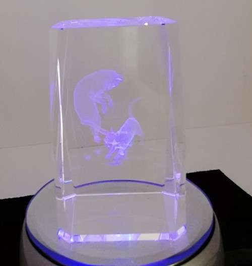 GLASS PAPERWEIGHT WITH LIGHT