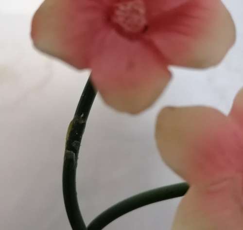 Flower Ornament - LA BELL