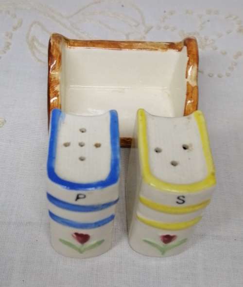 Salt and Pepper Shakers flower on spine of books and book case