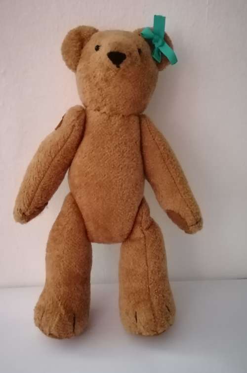 Bears - Basics Cape Town