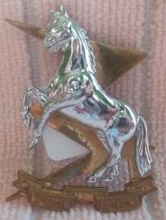 SADF TDK/TSC Beret Badge