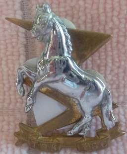 SADF TDK/TSC Beret Badge