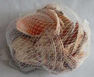 Beautiful Bag  of  Heart Cockle Sea Shells.