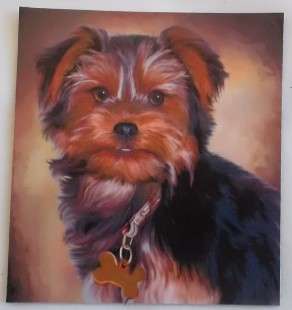 Digital Printed  Yorkie / Doggie Fridge magnet