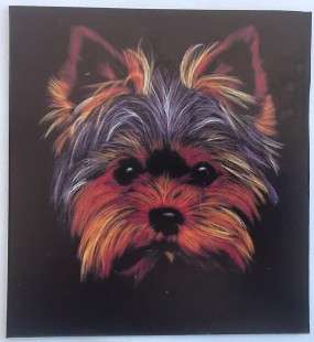 Digital Printed  Yorkie / Doggie Fridge magnet