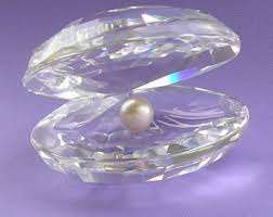 Swarovski Silver Crystal Oyster in Box