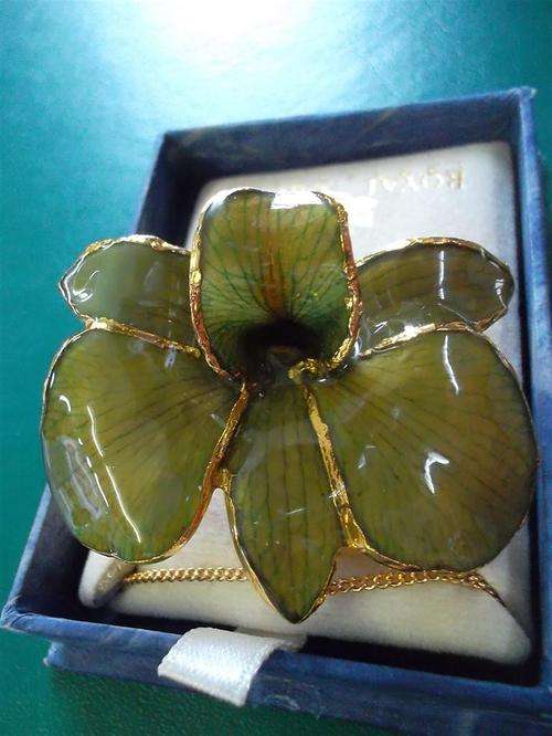 Royal Orchard Brooch/ chain