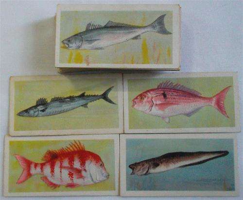 1937  African Fish   Series....Cigarette Cards