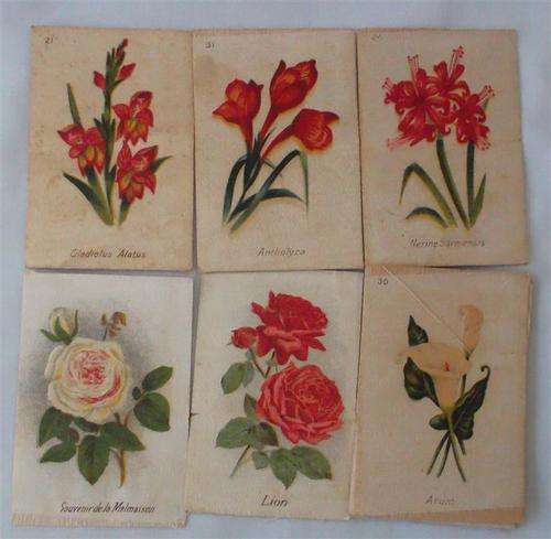 Mixed  Flowers of the World  Silk Cards   Series....Cigarette Cards