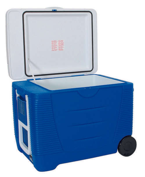 Campmaster 45l Thermo-electric Cooler, like new, very good condition, work from 12v or 220volt power