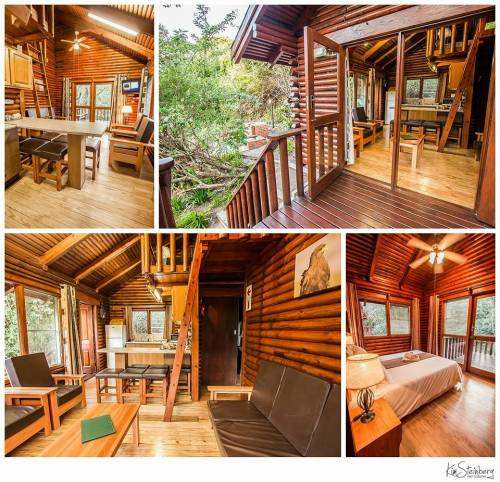 Mtunzini Forest Lodge Accommodation North Coast KZN - 6 Sleeper : 29.09.2017 - 06.10.2017