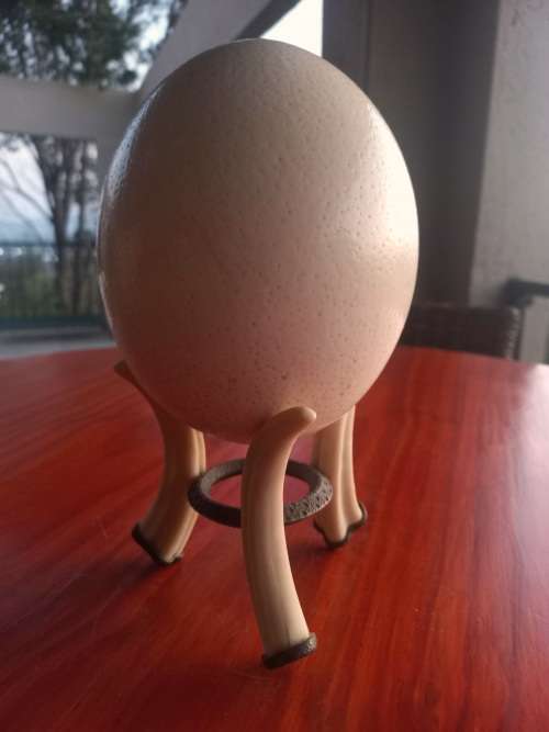 Ostrich Egg On Ivory Stand