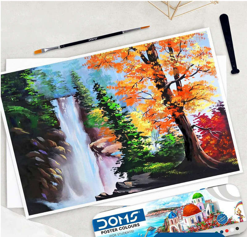 DOMS 12 Shades Poster Colours | Rich & Vibrant Colors with free Paint Brush