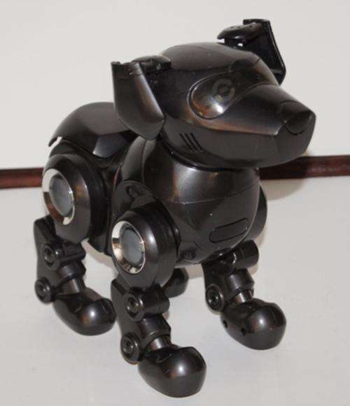 BLACK DOGGY COLLECTORS ROBOT
