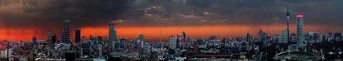LIMITED EDITION GILCEE PRINTS . JOZI THUDERSTORN FULL COLOUR. 40 X 220CM STRETCHED