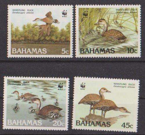 British Colonies,Bahamas Birds 1988 - Complete Set Of 4