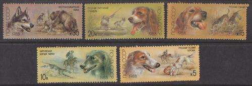 Russia 1988 - Complete Set Of 5 - Dogs.  2004CVR150.00.