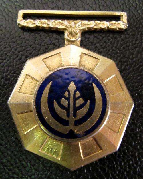 SADF Pro Patria medal, Full size, awarded to 183716 - Fixed suspender