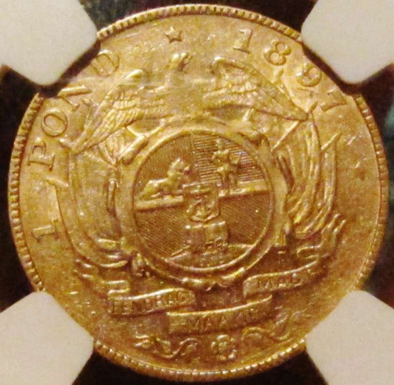 1897 Pond NGC Graded AU50-RARE KRUGER GOLD with GREAT LUSTRE!!
