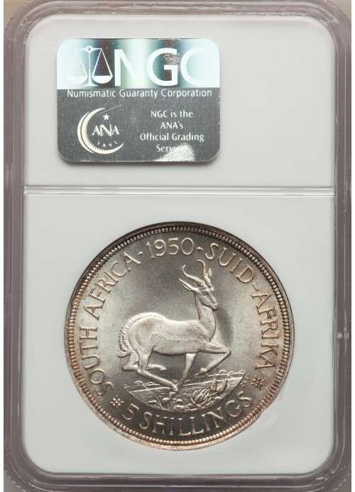 1950 5 Shillings NGC Graded MS64