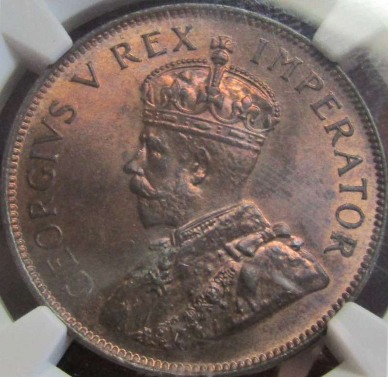 1935 Union of South Africa Penny NGC graded MS64 RB