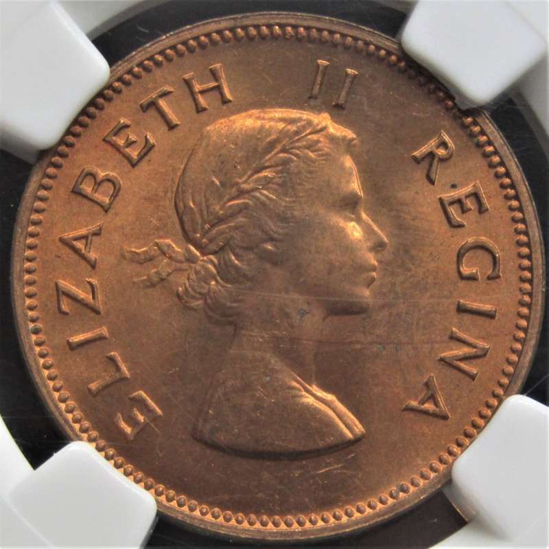 1954 Union of South Africa 1/2 Penny  NGC Graded MS63 RD