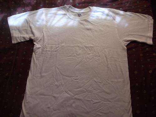 Plain White T-Shirts