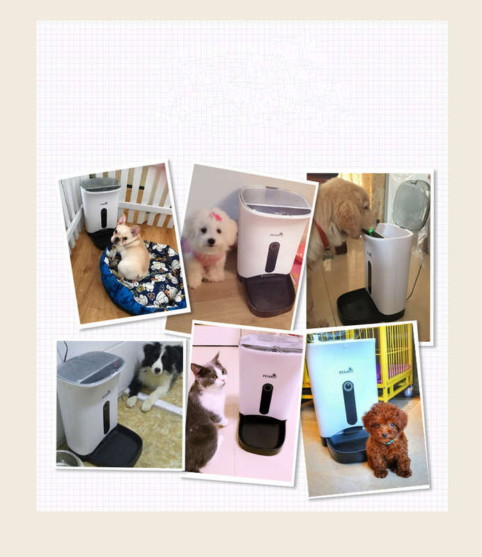Petwant PF-102 Automatic Pet Feeder for Dogs & Cats 4.3L