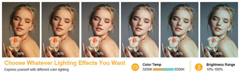 26cm Ring Light for iPad, LED Ring Light with Tripod Stand, Dimmable Makeup Light, YouTube