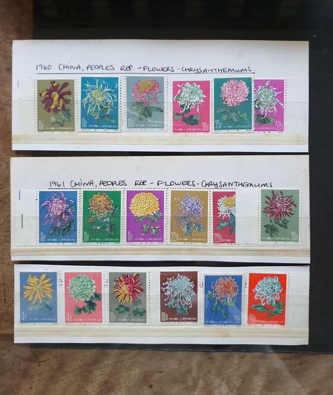 1960-1961 CHINA PEOPLES REP. FLOWERS - CHRYSANTHEMUMS FULL SET OF STAMPS