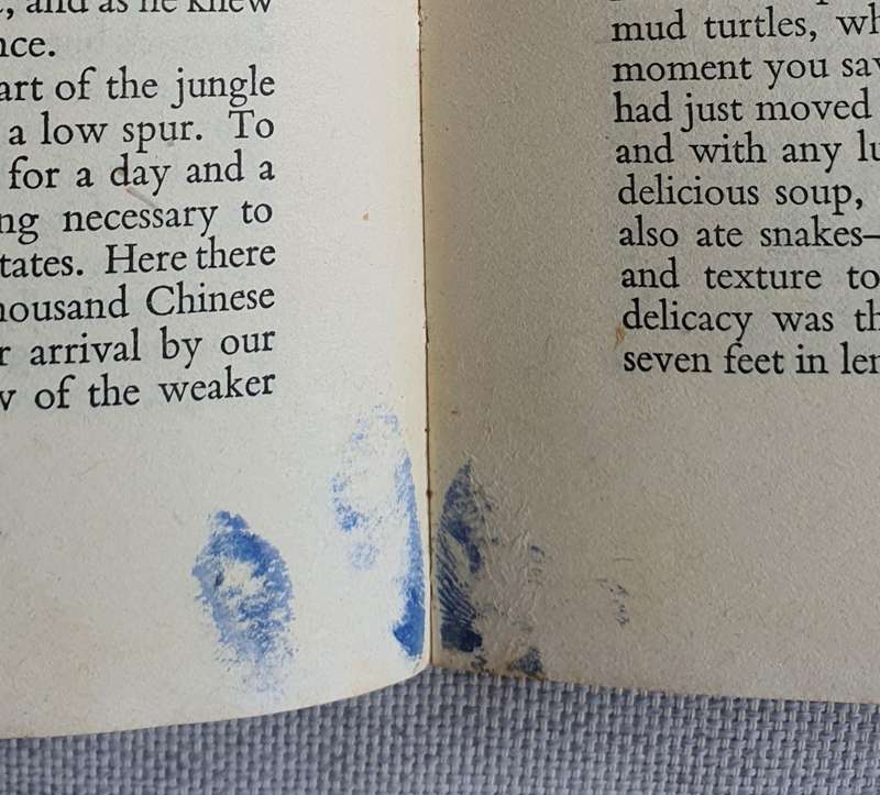THE JUNGLE IS NEUTRAL, F. Spencer Chapman