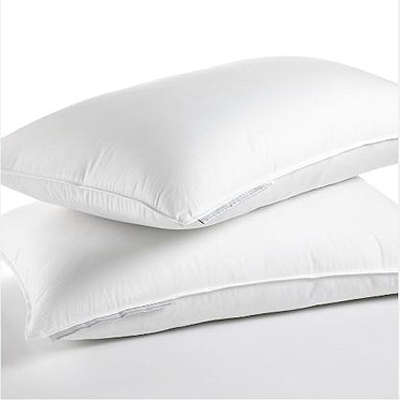 Set of 2 Goose Feather Pillows