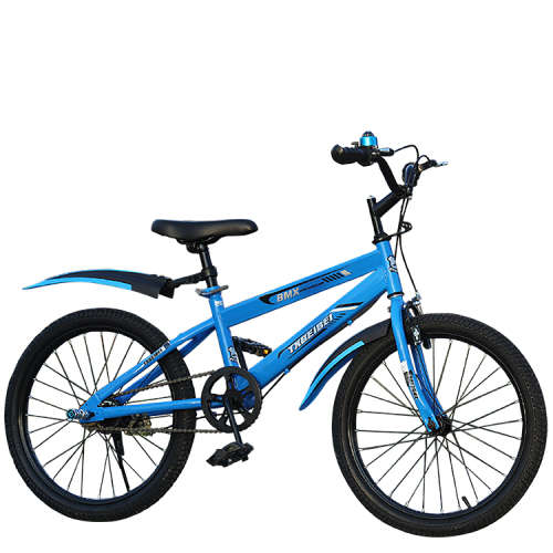 20 Inch Kids BMX Bicycle
