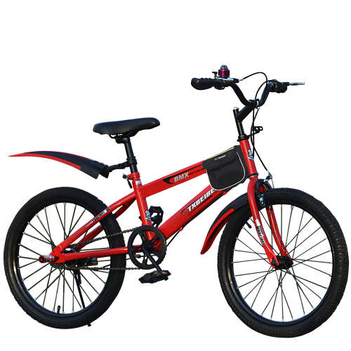 20 Inch Kids BMX Bicycle