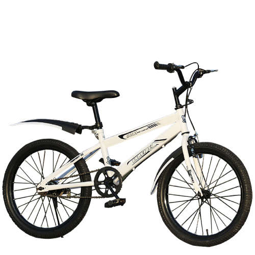 20 Inch Kids BMX Bicycle