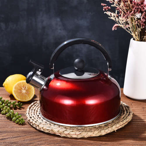 Stainless Steel Whistling Tea Kettle 2l - Silver (Second Hand)
