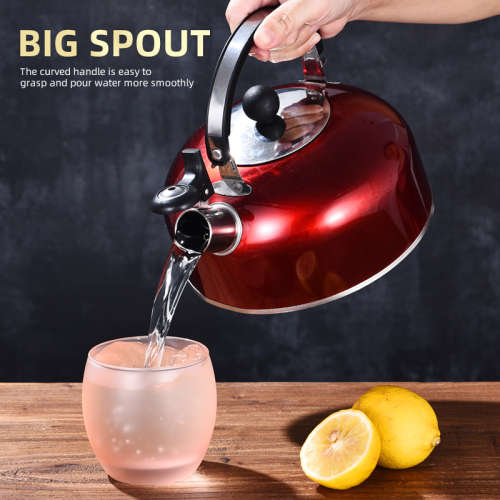 Stainless Steel Whistling Tea Kettle 2l - Silver (Second Hand)