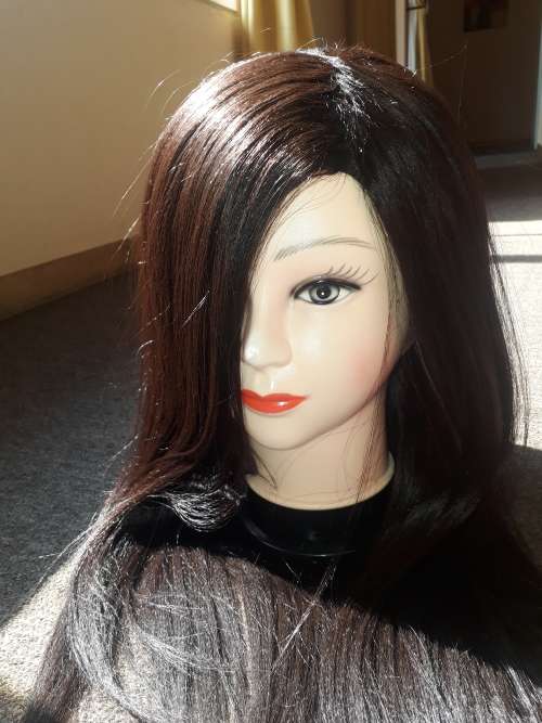 Long Straight Wig