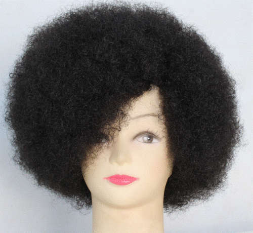 Afro Wig - Colour Black